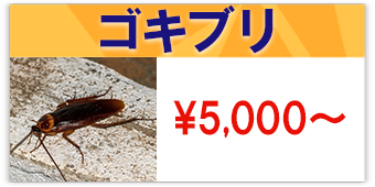 ゴキブリ駆除の費用5000円～のテロップ