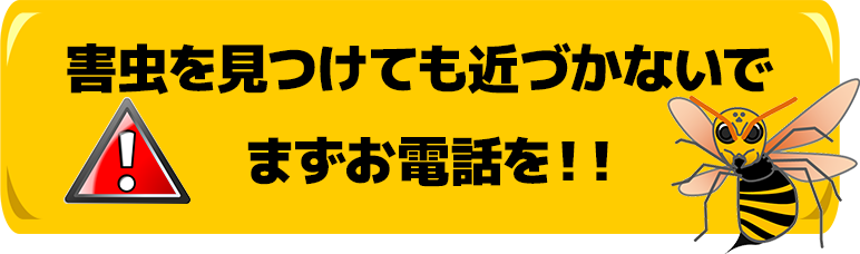 害虫を見つけても近づかないで、まずお電話と書かれたテロップ