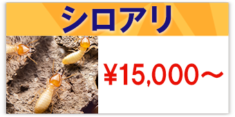 シロアリ駆除の費用15000円～のテロップ